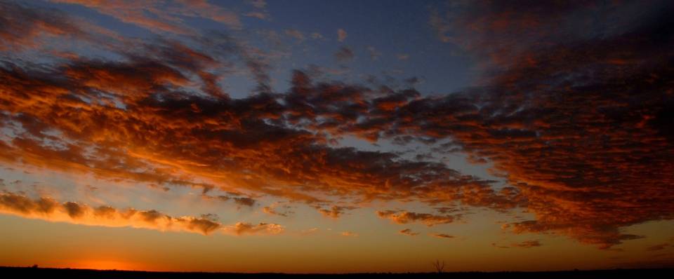 Twilight